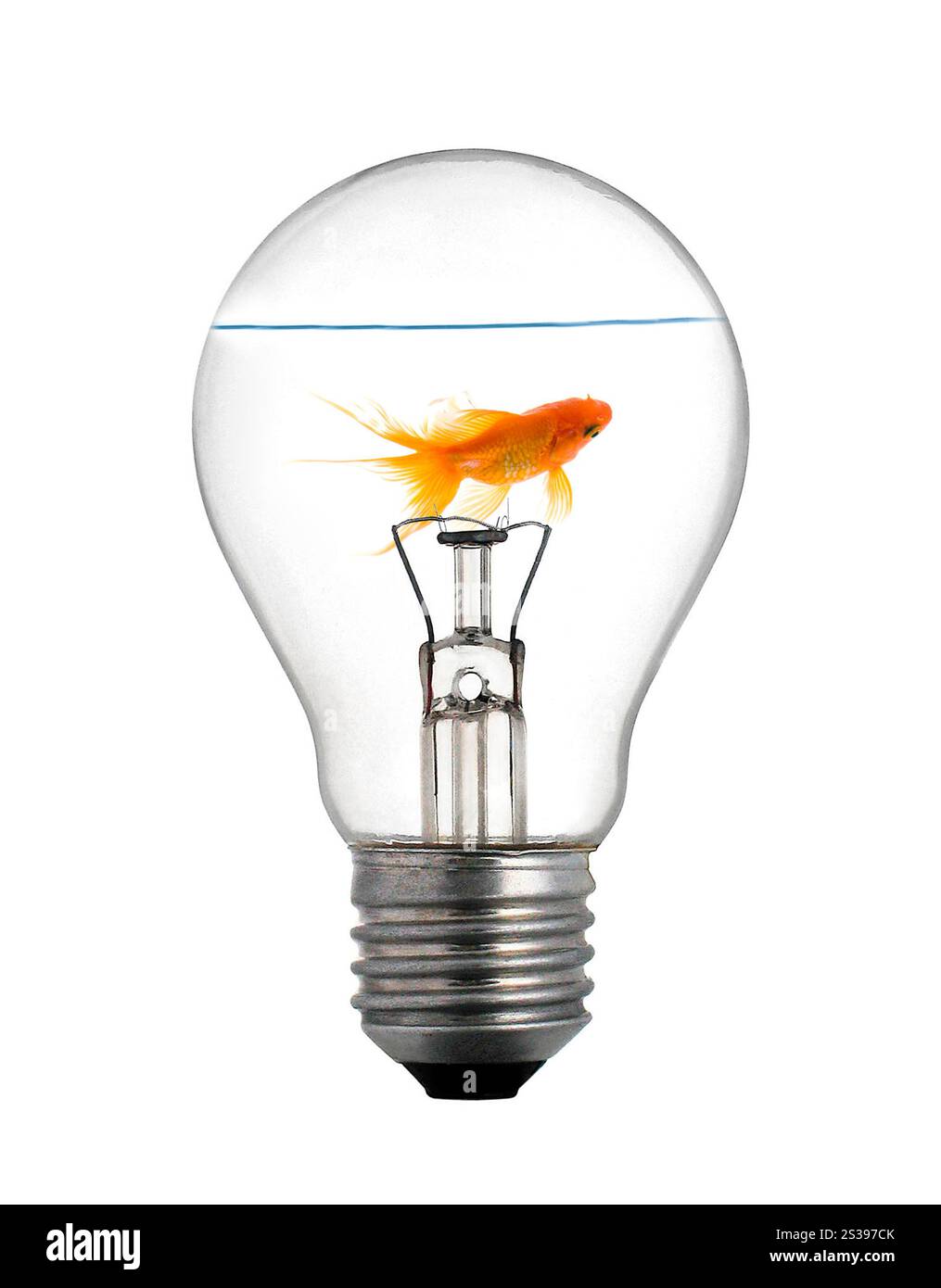 Gold small fish in light bulb on a white Stock Photo
