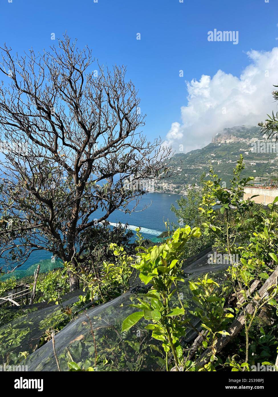 Italy, Amalfi Coast - Smartphone Captured Stock Image