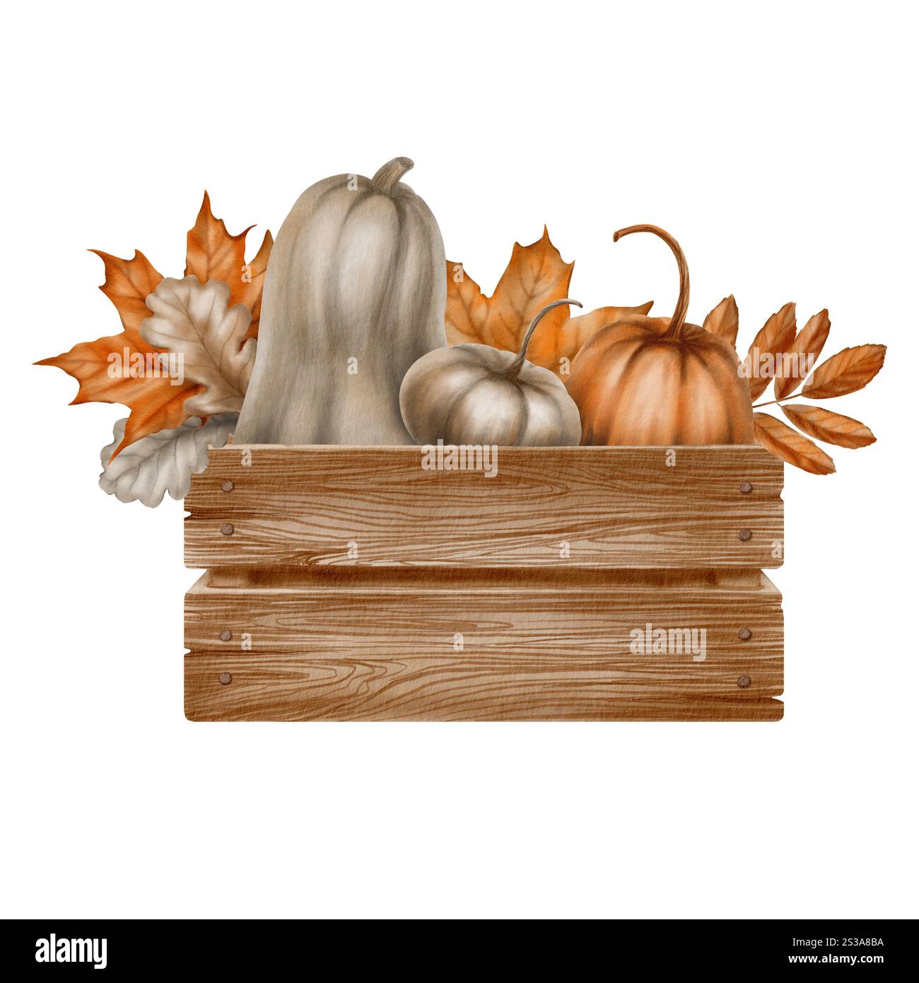 Silver and orange pumpkins in a vintage wooden box with fall leaves of ...