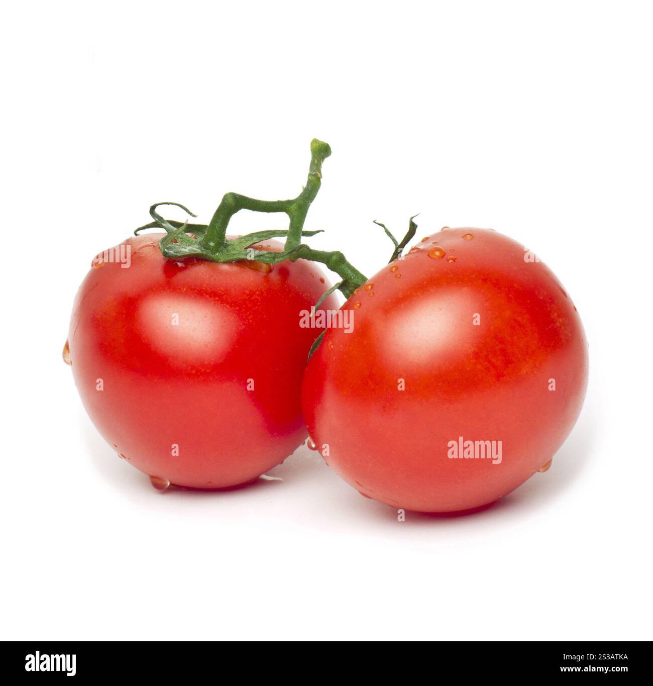 two Tomatos isolated on white background. two Tomatos Stock Photo - Alamy
