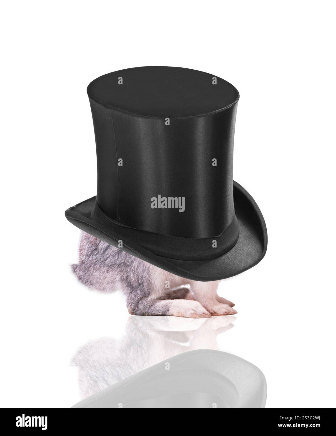 Little bunny in a hat isolated Stock Photo