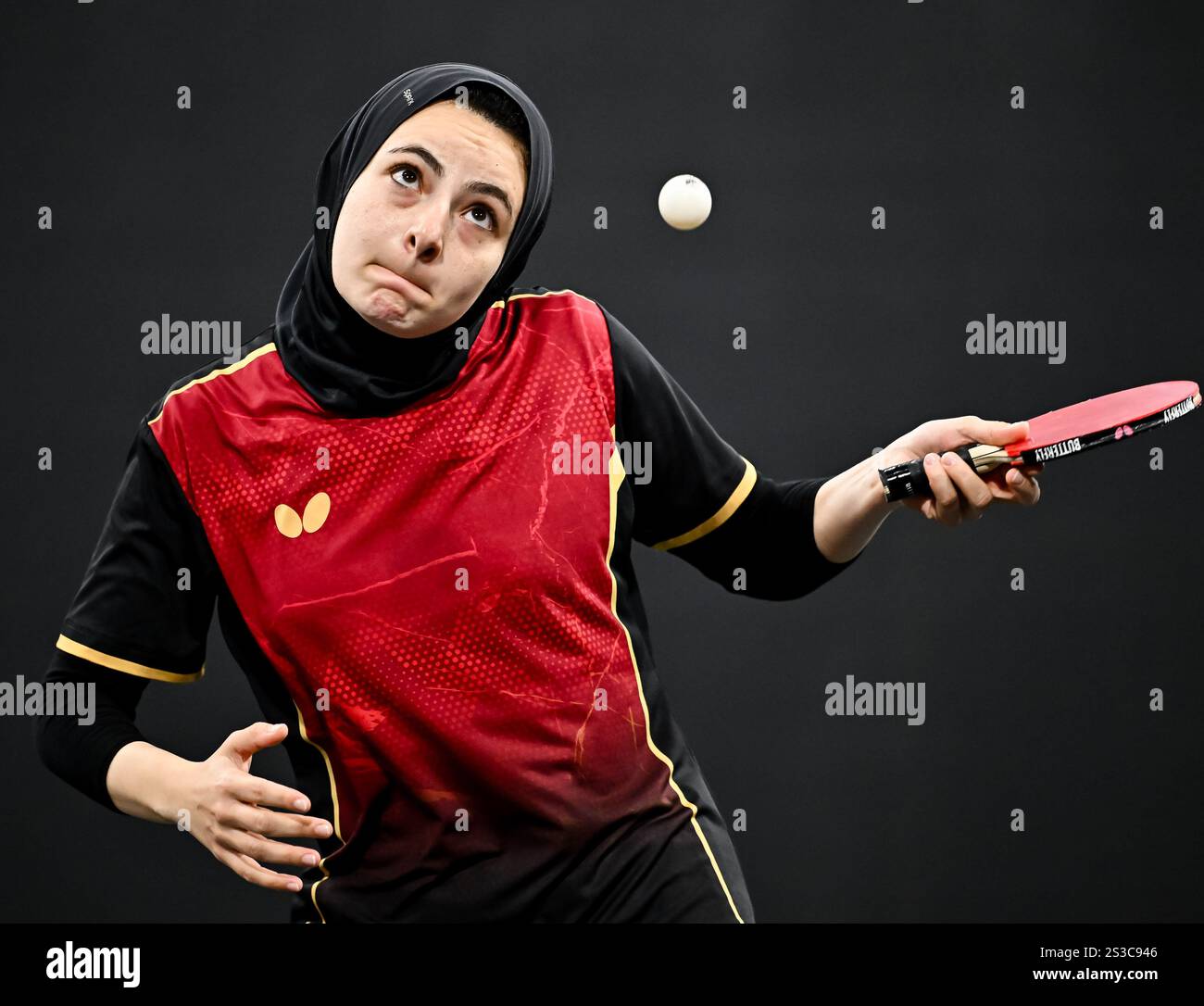 Dina meshref of egypt hi-res stock photography and images - Alamy
