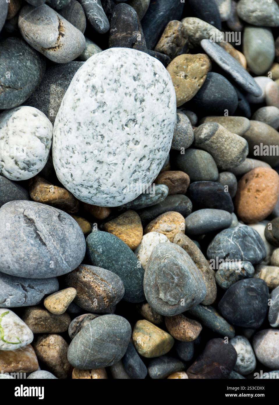 Pebbels Rocks The pebbles rock beach Stock Photo - Alamy
