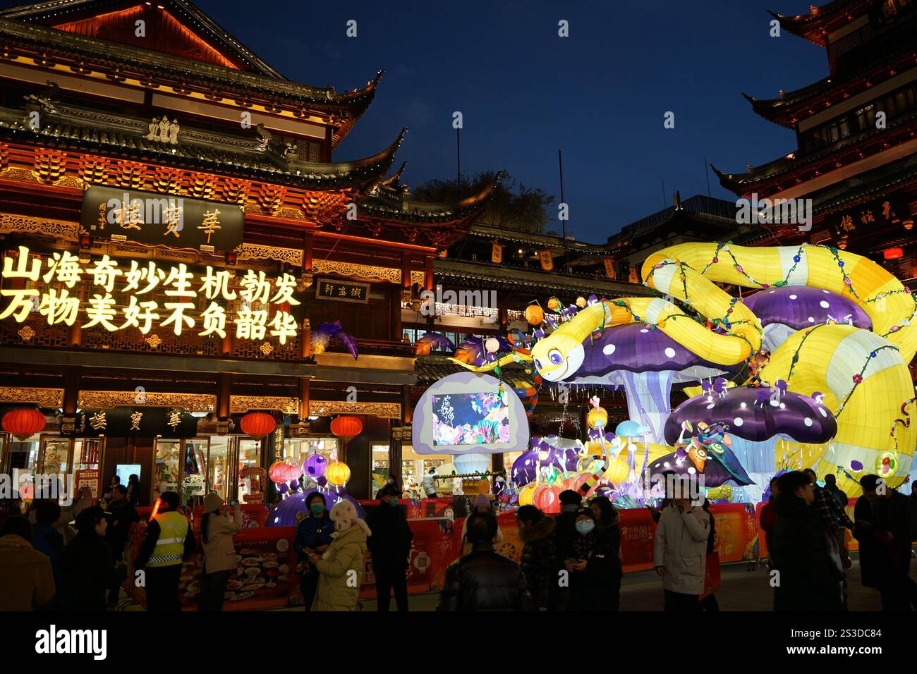 SHANGHAI, CHINA - JANUARY 9, 2025 - Visitors enjoy the Year of the ...