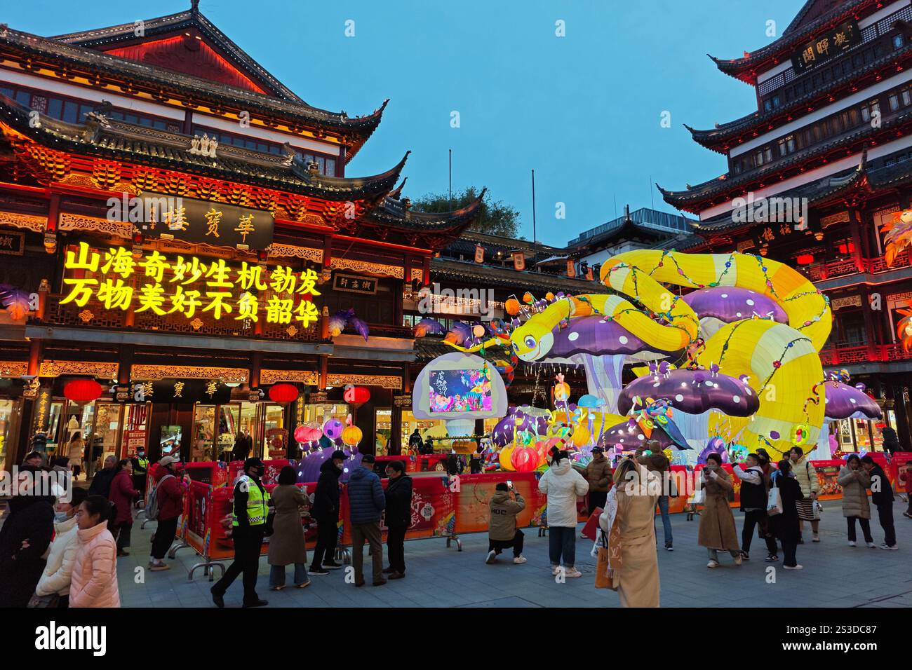 SHANGHAI, CHINA - JANUARY 9, 2025 - Visitors enjoy the Year of the ...