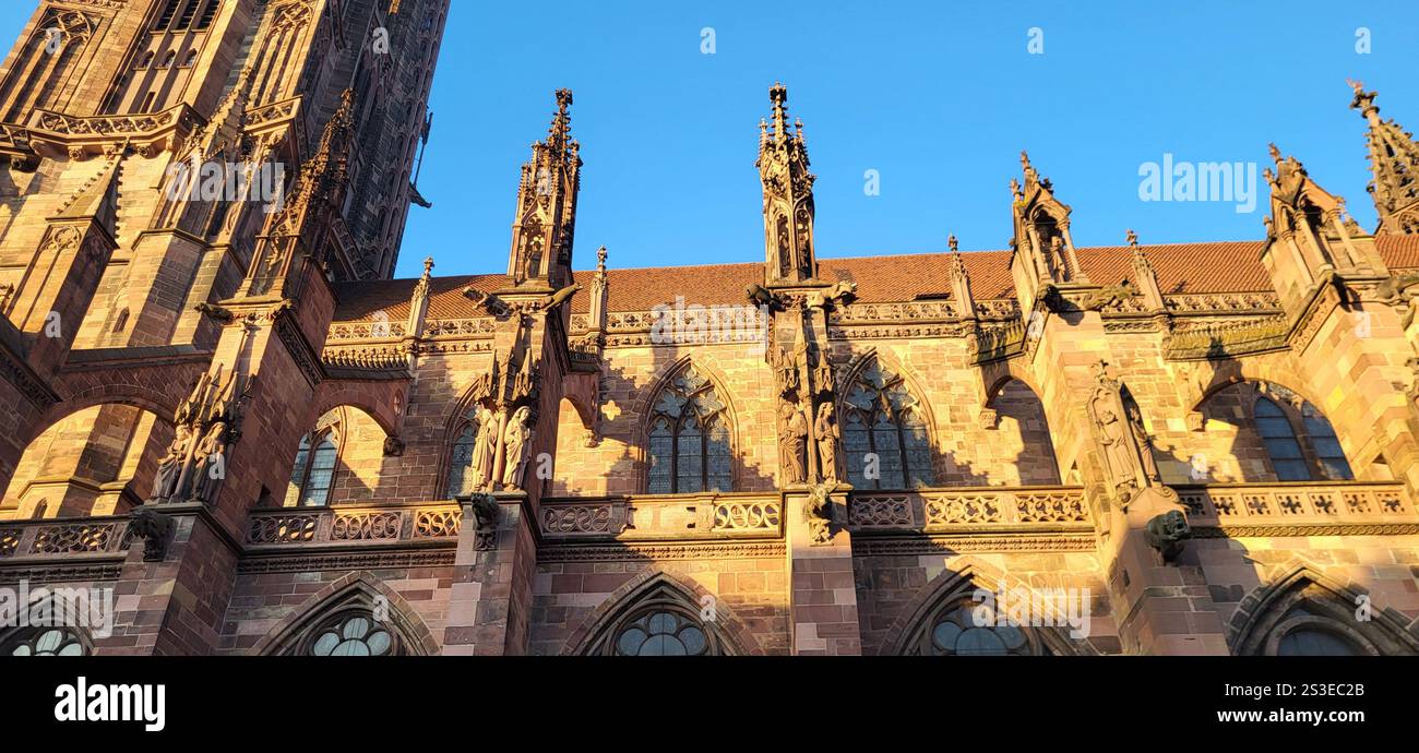 Gothic Majesty: Freiburg Cathedral in the Golden Light - Smartphone Captured Stock Image