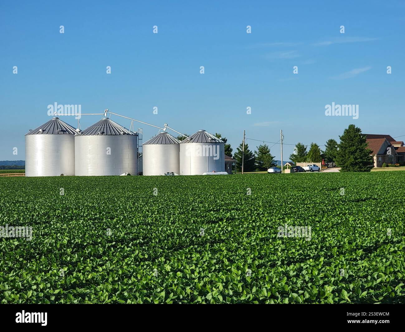 Missouri farmland and silos - Smartphone Captured Stock Image
