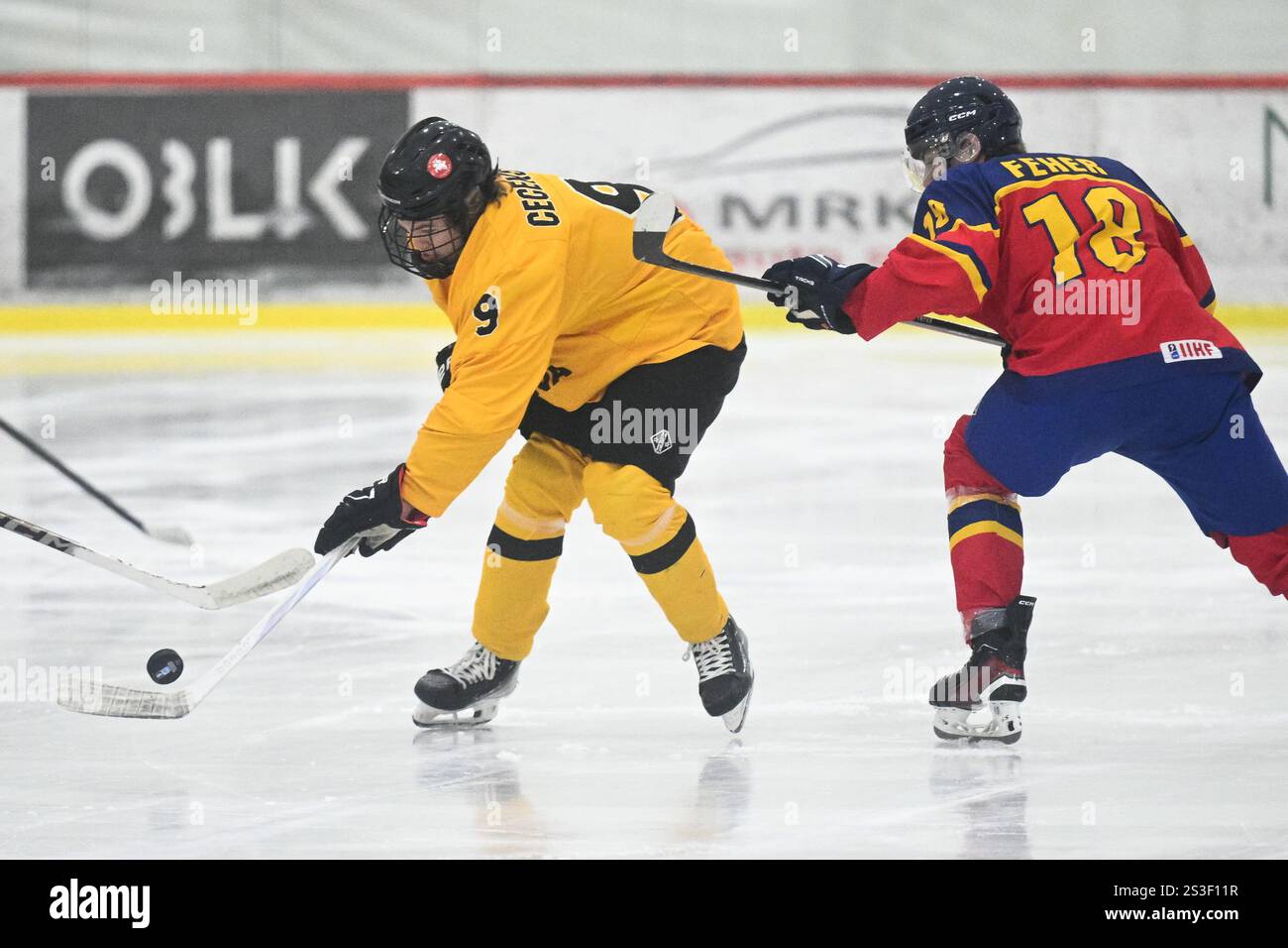 Martin Fehér Ice Hockey World Championship Expert Insights: The Unseen Variables