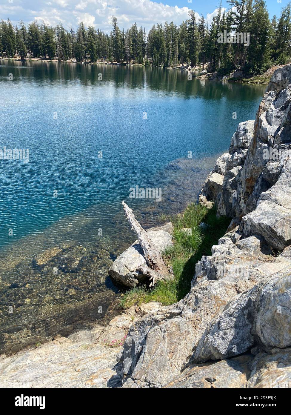 Trees ring a clear mountain lake. - Smartphone Captured Stock Image