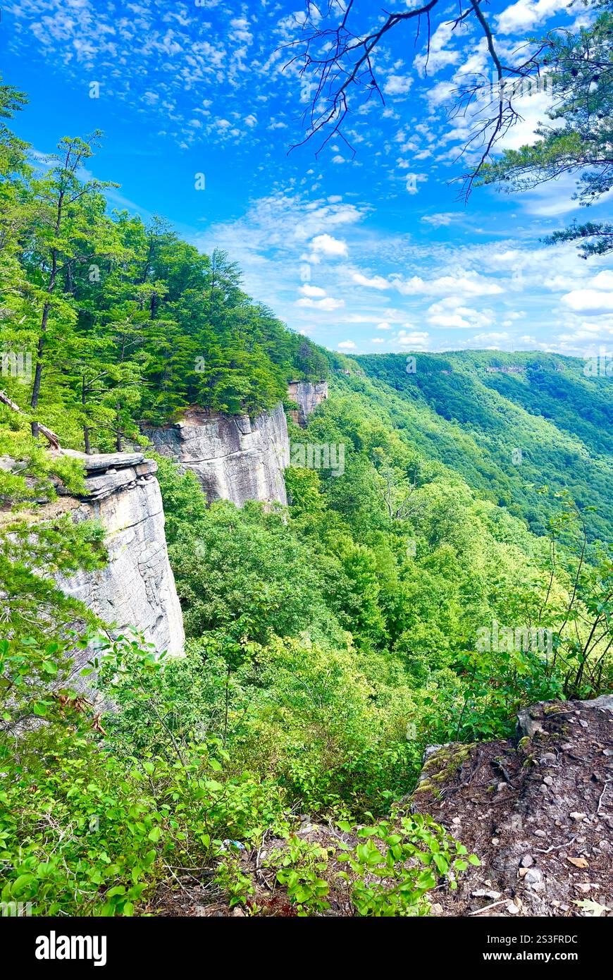 A look along the ridge line of the New River Gorge in West Virginia, USA - Smartphone Captured Stock Image