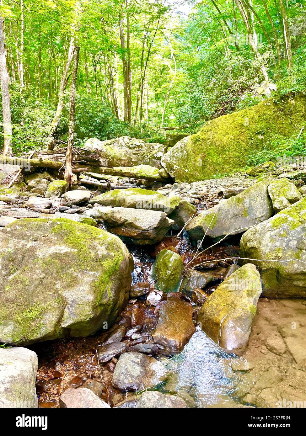 Walking through the brook. - Smartphone Captured Stock Image