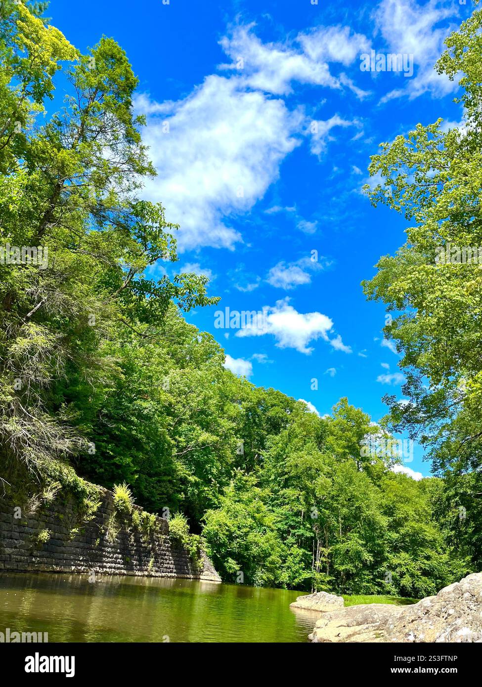 A bright blue sky peeks through the forest canopy over the river in Babcock State Park, West Virginia, USA. - Smartphone Captured Stock Image