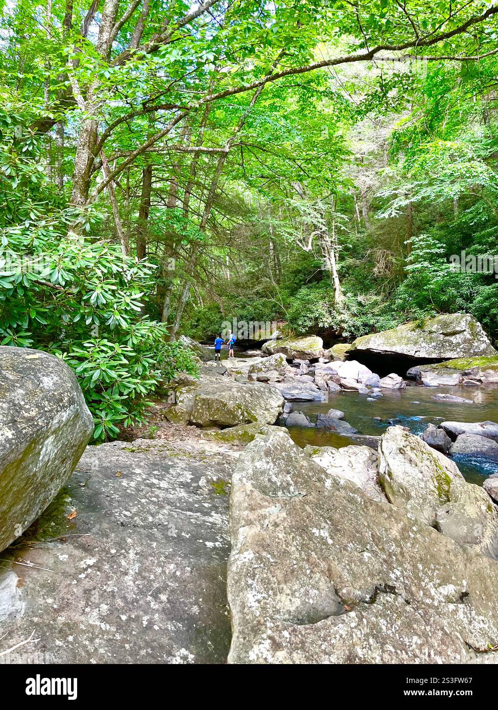 Two boys explore the river at Babcock State Park in West Virginia. - Smartphone Captured Stock Image