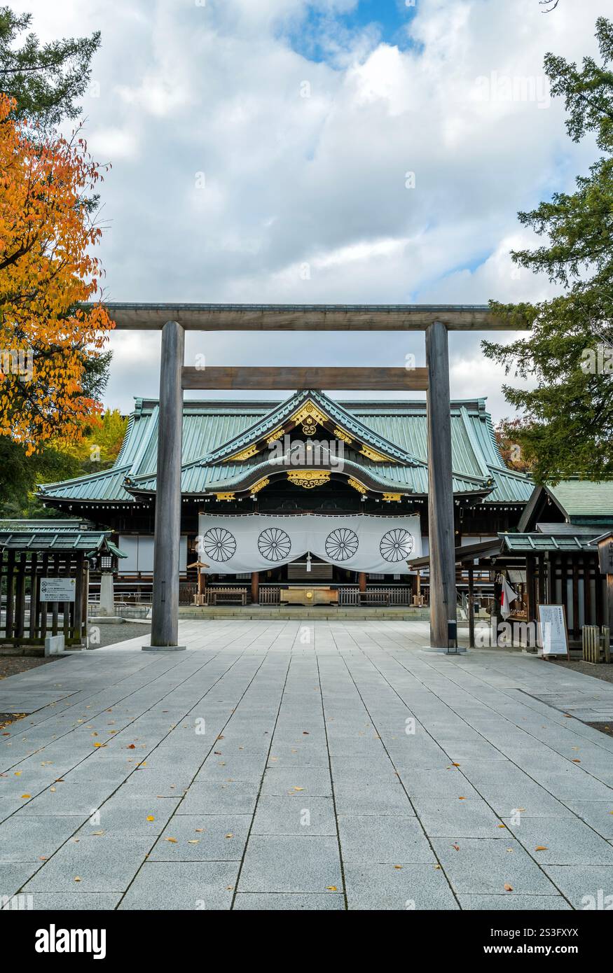 Yasukuni shrine entrance with large wooden Torii gates and ginko tree lined avenue Stock Photo