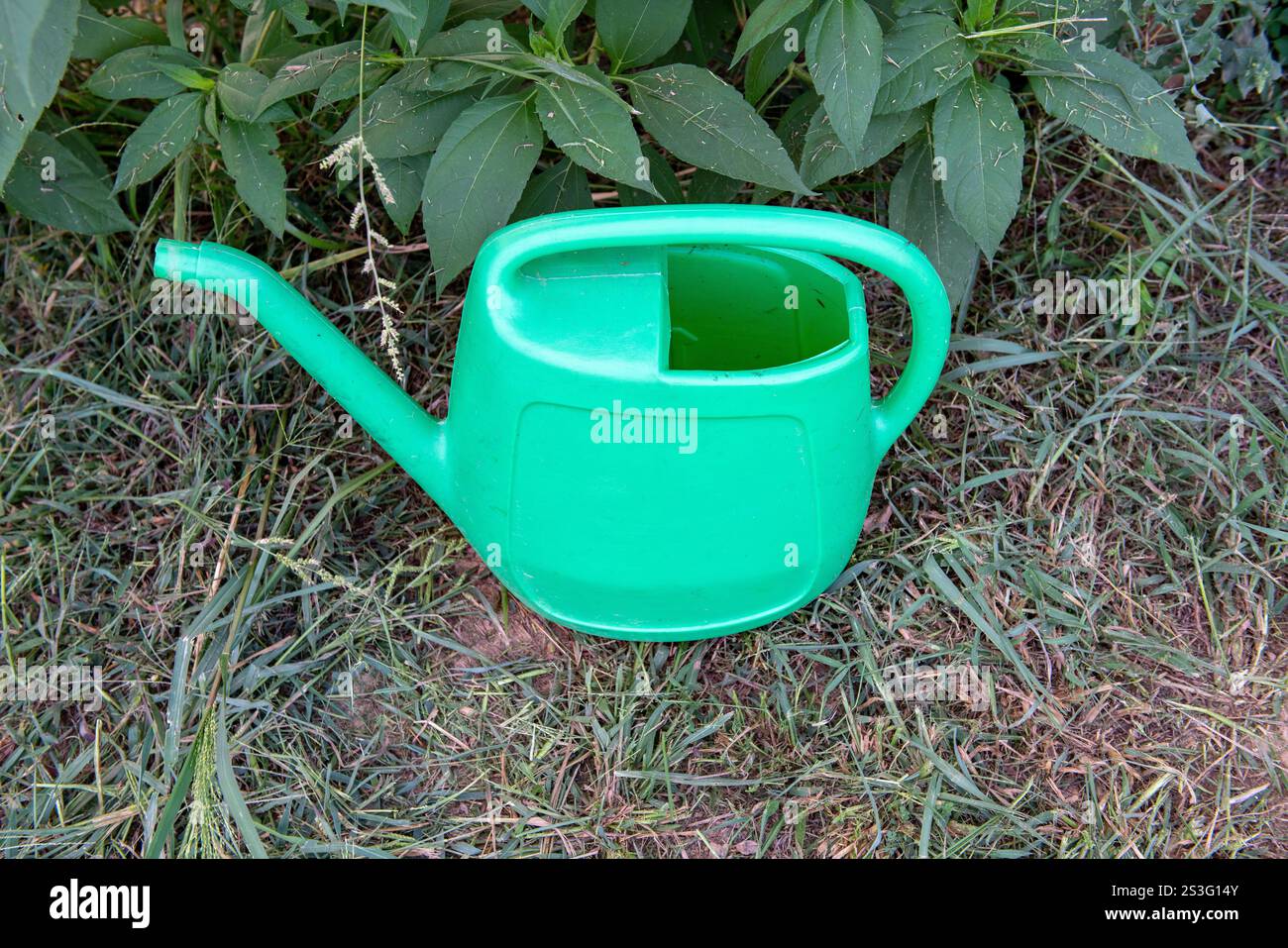Premium Photo | Hand Holding Green Plastic Watering Can On Black Background