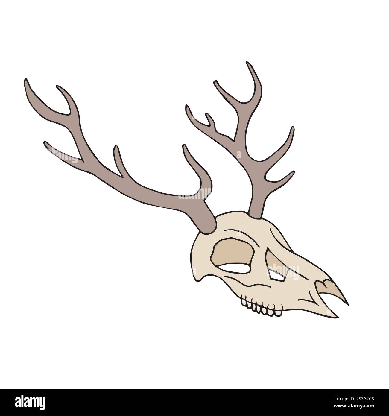 Vector hand drawn sketch doodle colored deer skull isolated on white ...