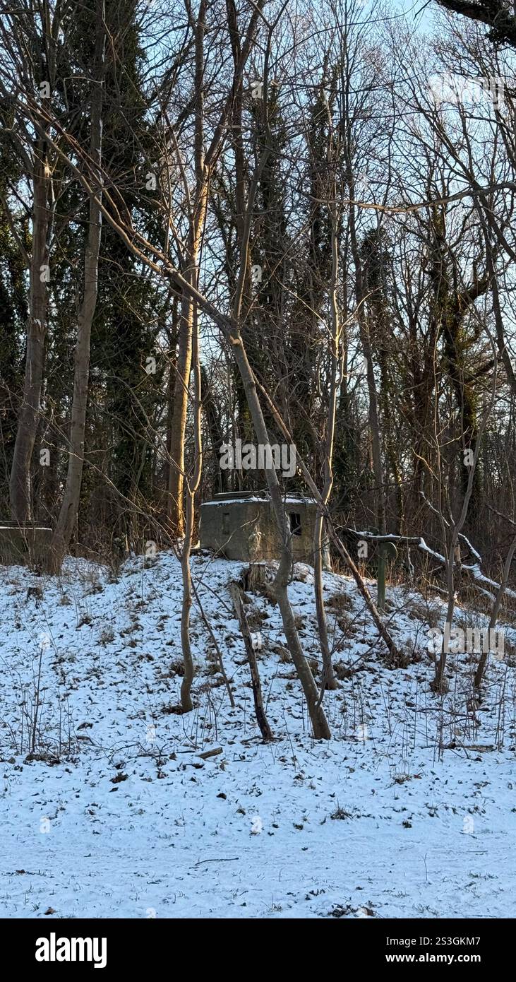 Snowy weather in Denmark - Smartphone Captured Stock Image