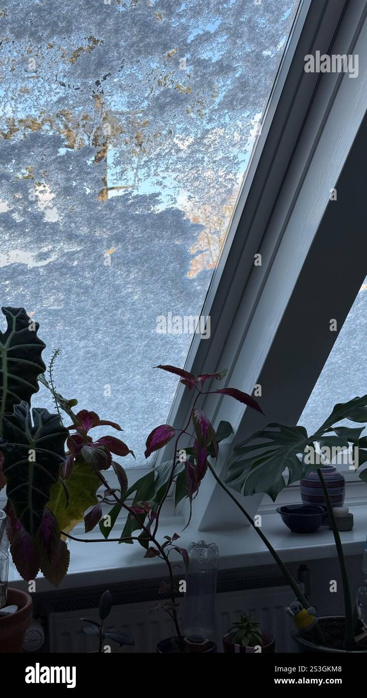 Snowy weather in Denmark - Smartphone Captured Stock Image