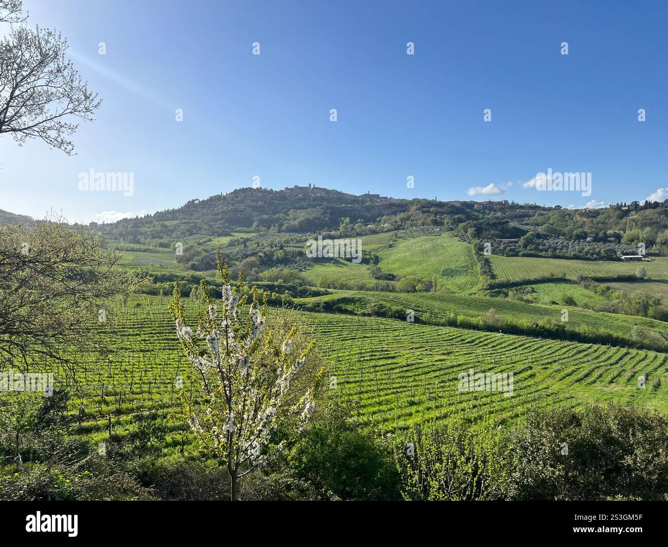 Breathtaking view of Montepulciano Italy on a Sunny Spring Day in the Lush Green Tuscan hills with Vibrant Shades, unreal painting-like beauty - Smartphone Captured Stock Image
