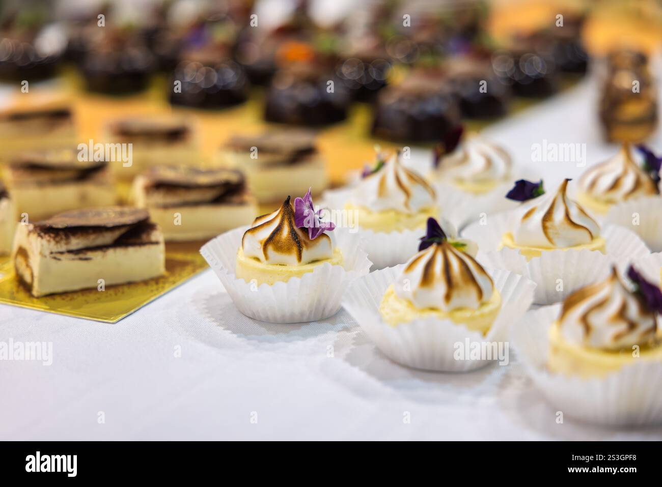 Cake mini with edible flowers, patisserie lemon tart meringue. Dark chocolate mousse cakes with strawberry and edible flowers. Soft, decadent, patisse Stock Photo