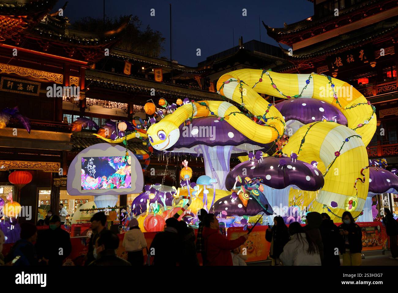 A view of large lantern celebrating the upcoming Year of the Snake at ...