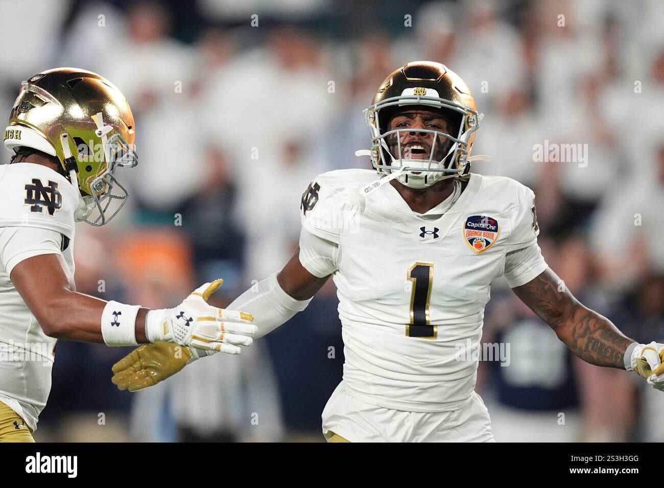 Notre Dame safety Jordan Clark (1) celebrates a play during the first