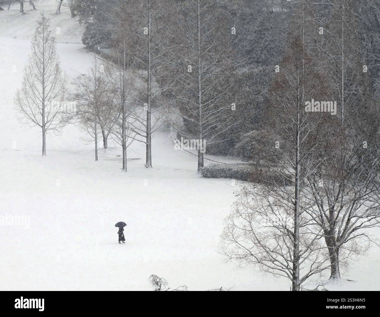 Snow covers a park in Nagoya City, Aichi Prefecture, on Jan. 10, 2025