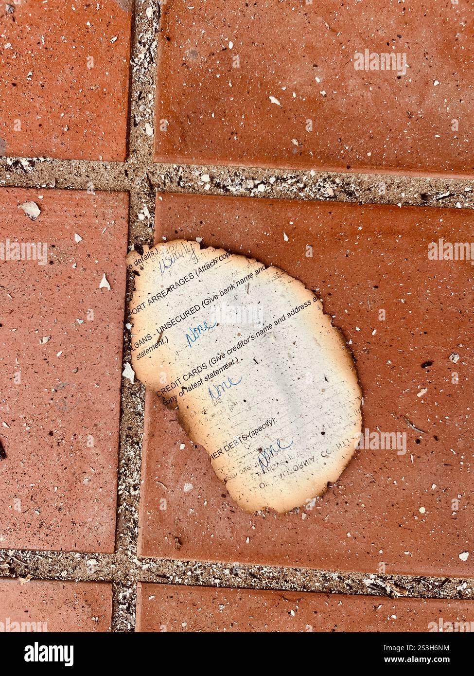 Charred piece of paper from the Eaton Fire, Los Angeles - Smartphone Captured Stock Image