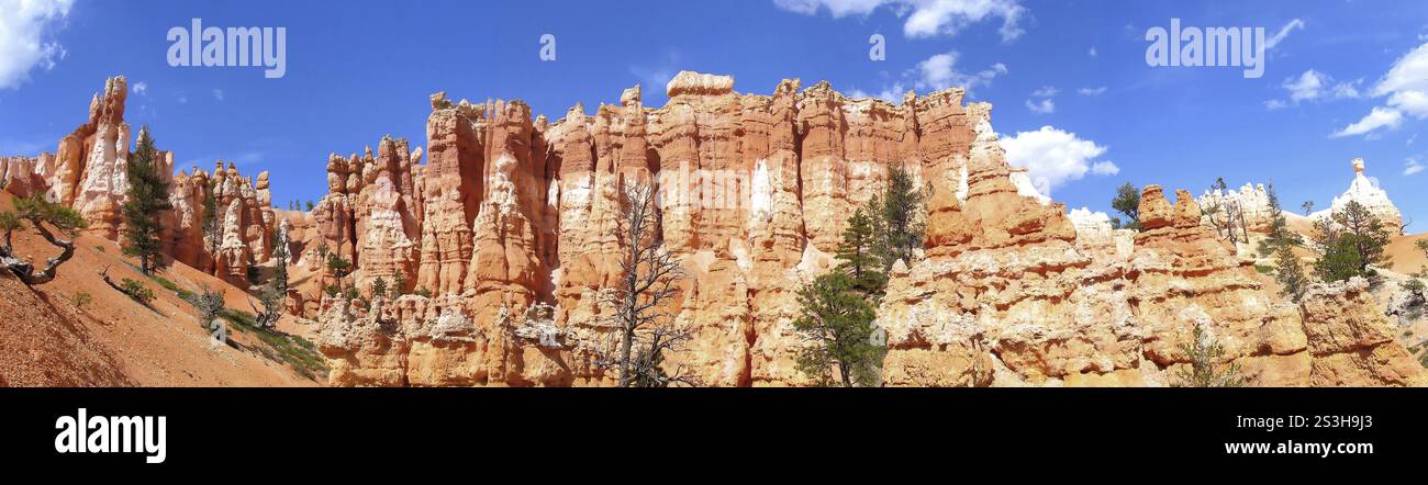 Panorama of Bryce Canyon from the canyon floor, Bryce Canyon National Park, Utah, USA USA Stock Photo