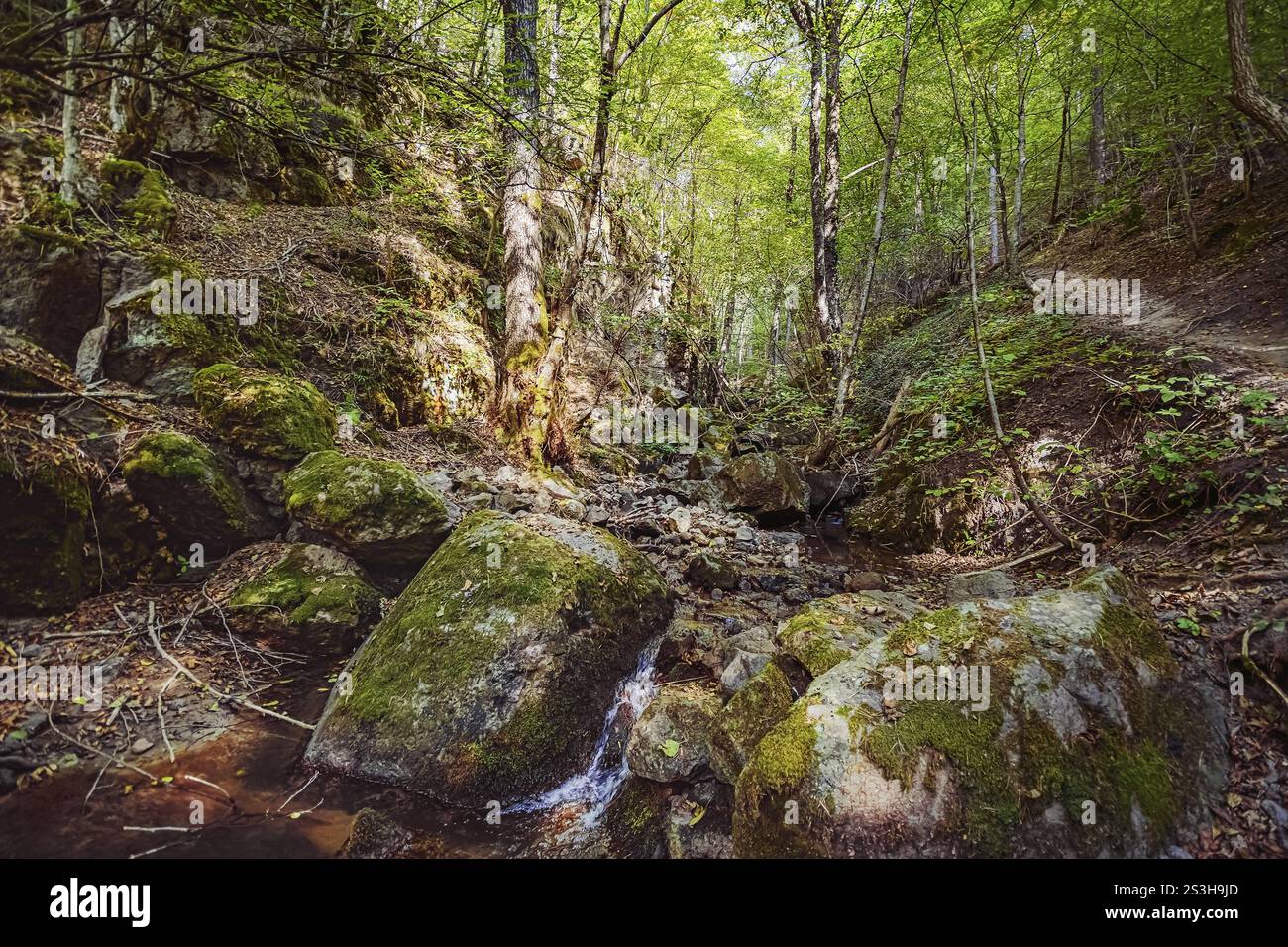 Western Rhodopes The valley of the Devin River in the Western Rhodopes Struilitsa ...