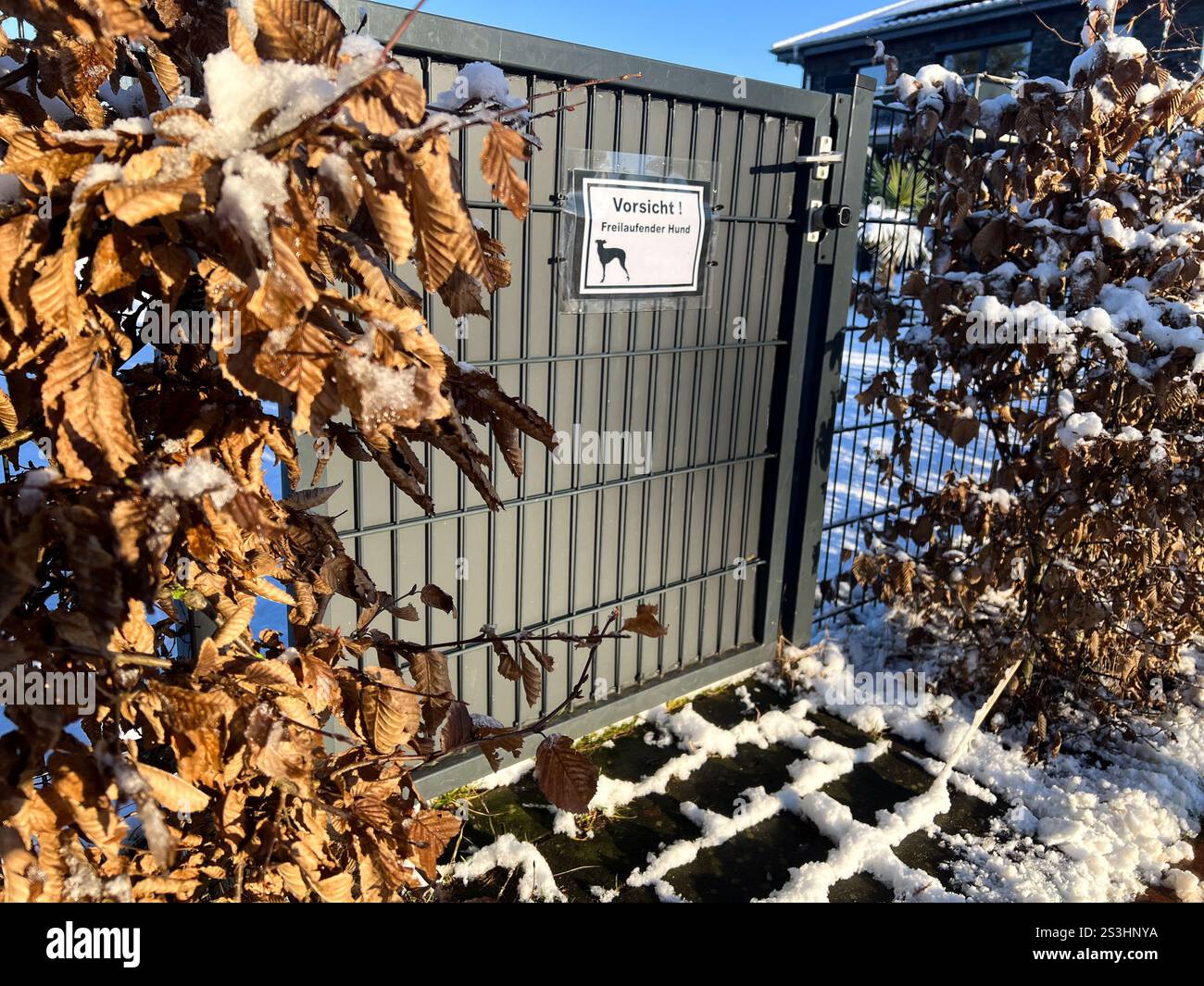 A German danger dog sign on the fence at a privat house in winter  Stock Photo