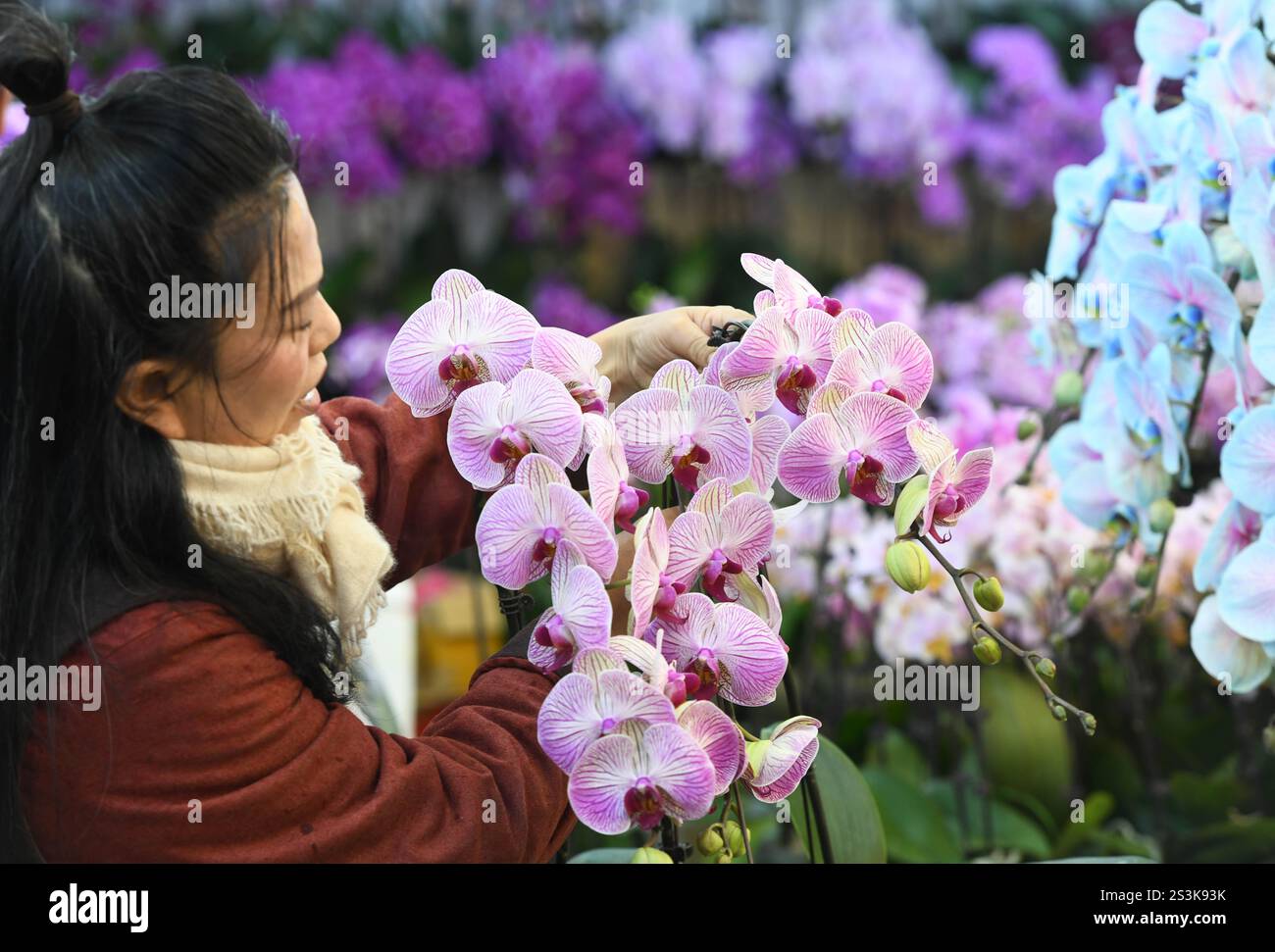 **CHINESE MAINLAND, HONG KONG, MACAU AND TAIWAN OUT** People select New