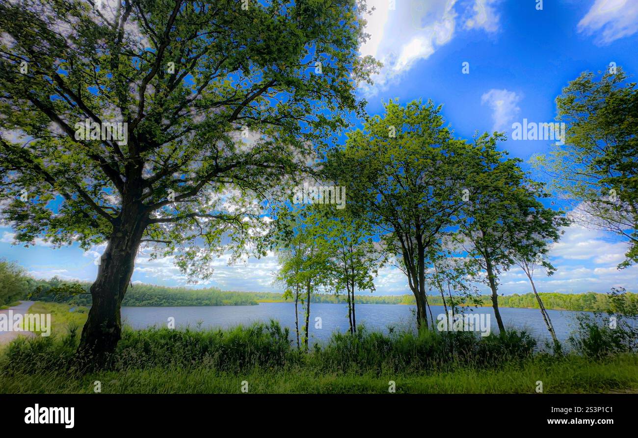 A serene lakeside landscape with vibrant greenery and a clear blue sky ...