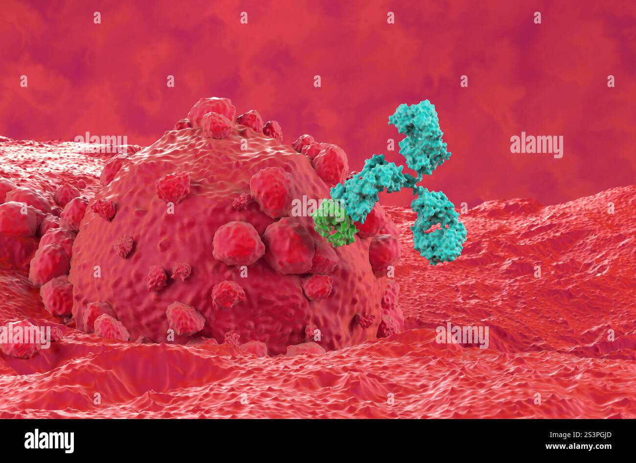 Monoclonal antibody melanoma hi-res stock photography and images - Alamy