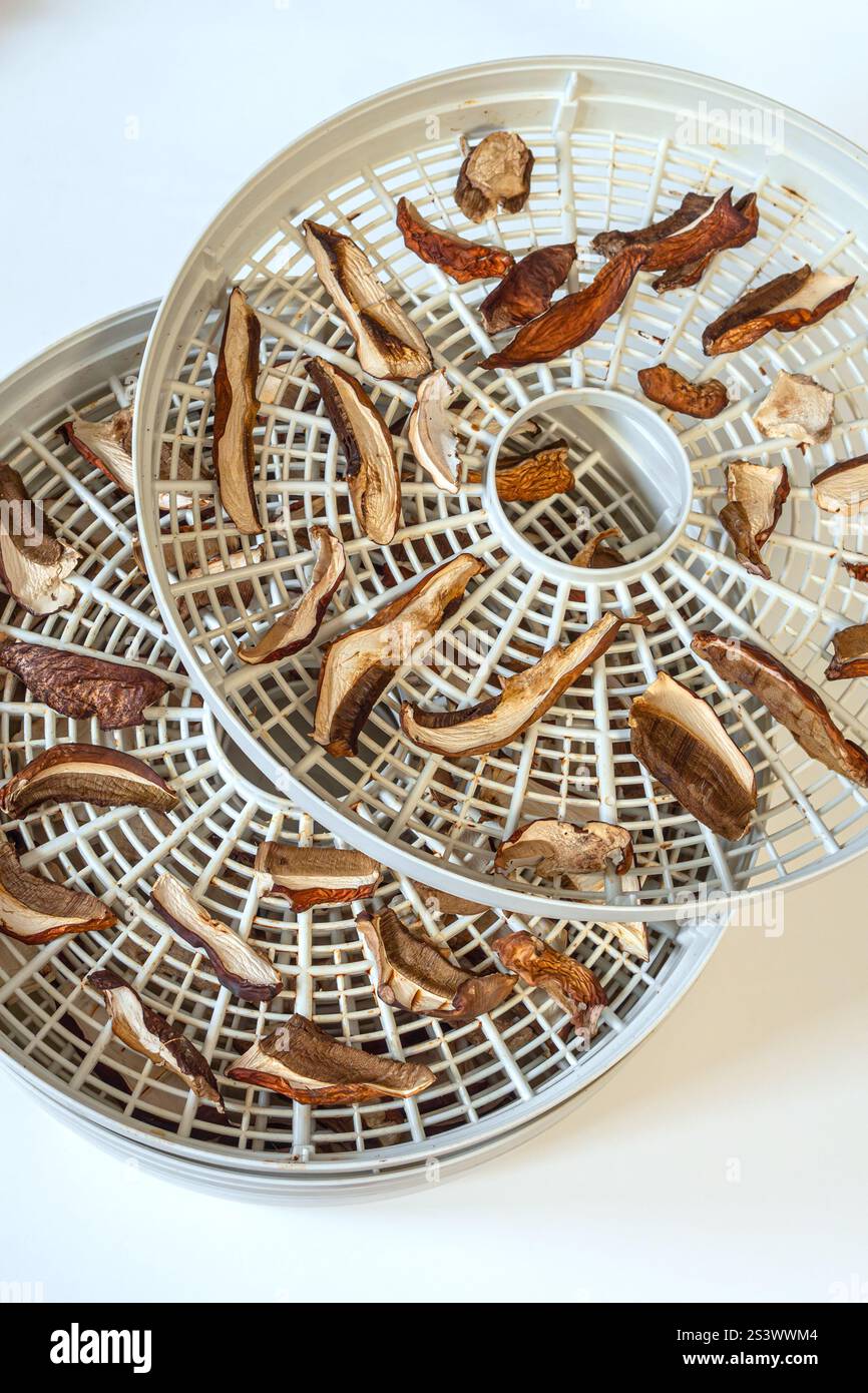 Top view of sliced Dried Mushrooms on a Dehydrator Tray Stock Photo - Alamy