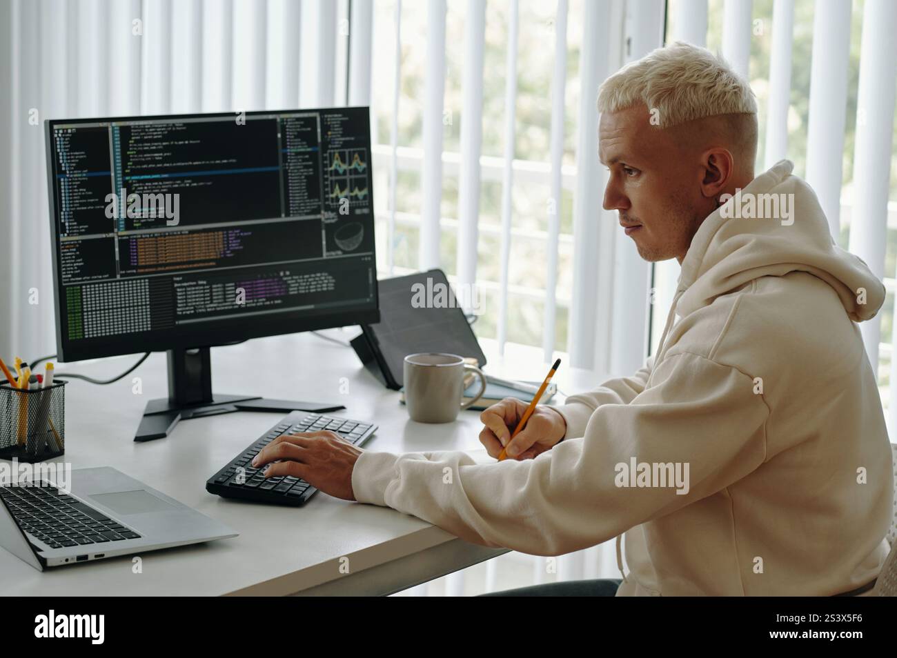 Programmer Working With Metadata On Computer Stock Photo - Alamy