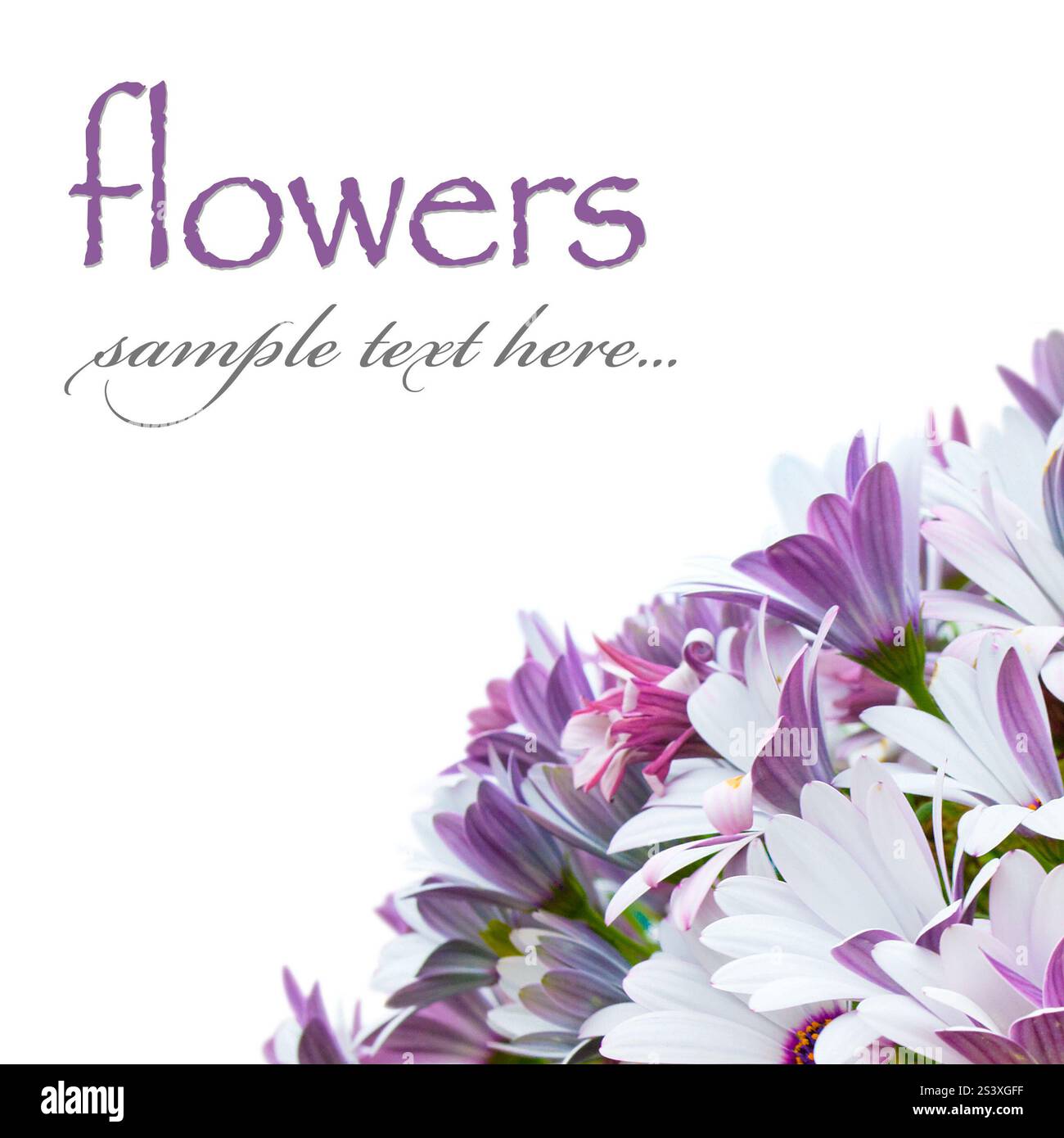 Beautiful spring flowers isolated on white background Stock Photo - Alamy
