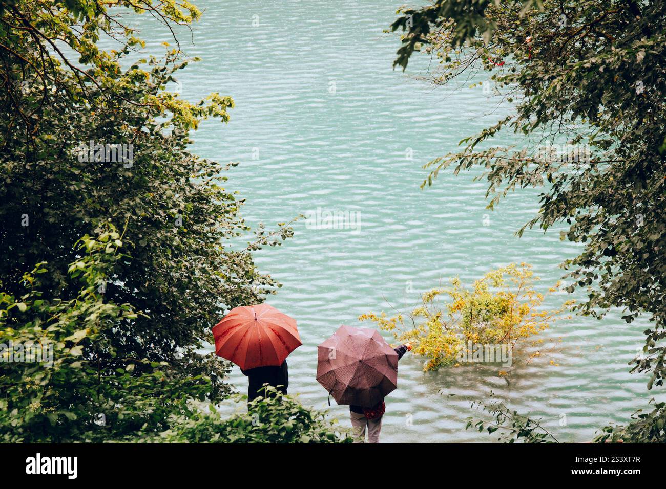 Two people with umbrellas on the shore of a lake. It's raining outside. Quiet, meditative atmosphere. Couple spending time together. Stock Photo