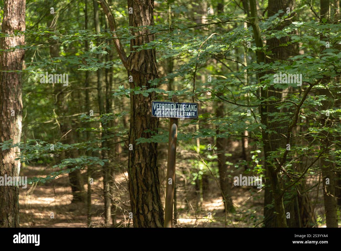 Nuenen, the Netherlands. 22 June 2024. No Trespassing sign in the forest Stock Photo