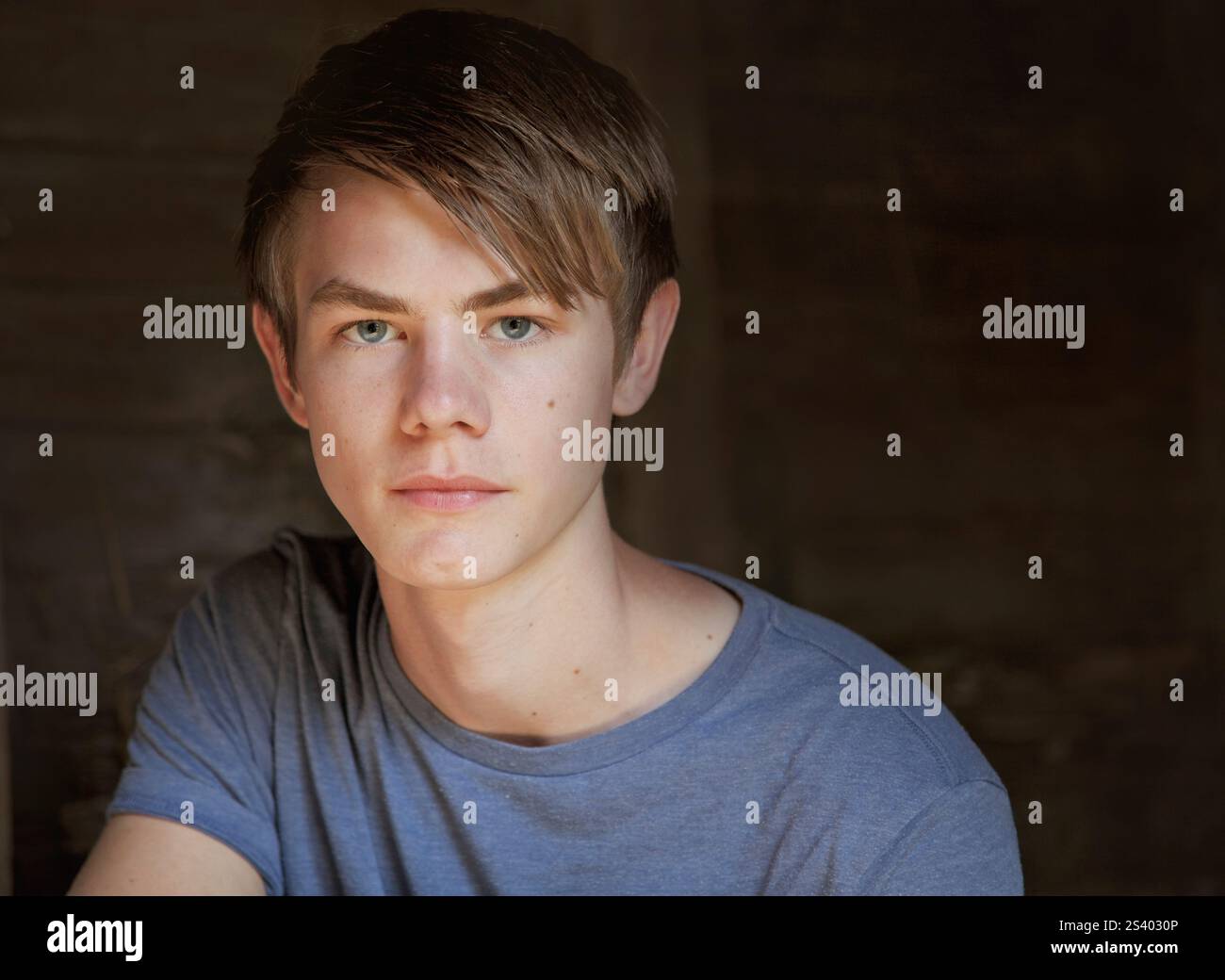 Portrait of Teenage Boy Stock Photo - Alamy