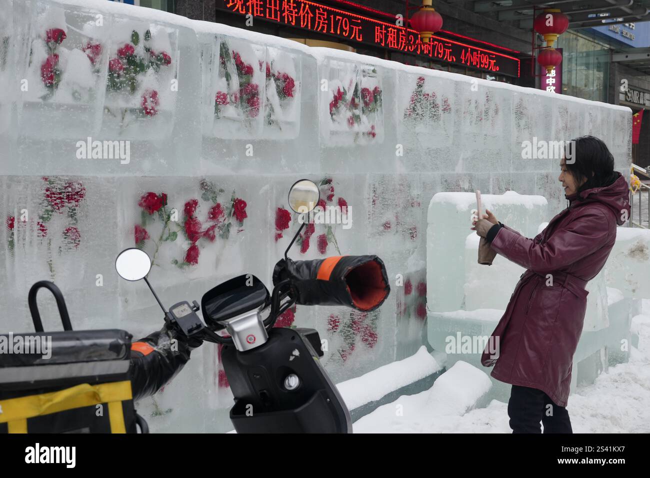 Bunches Of Red Roses Frozen In Ice Bricks Attract Many Visitors In 