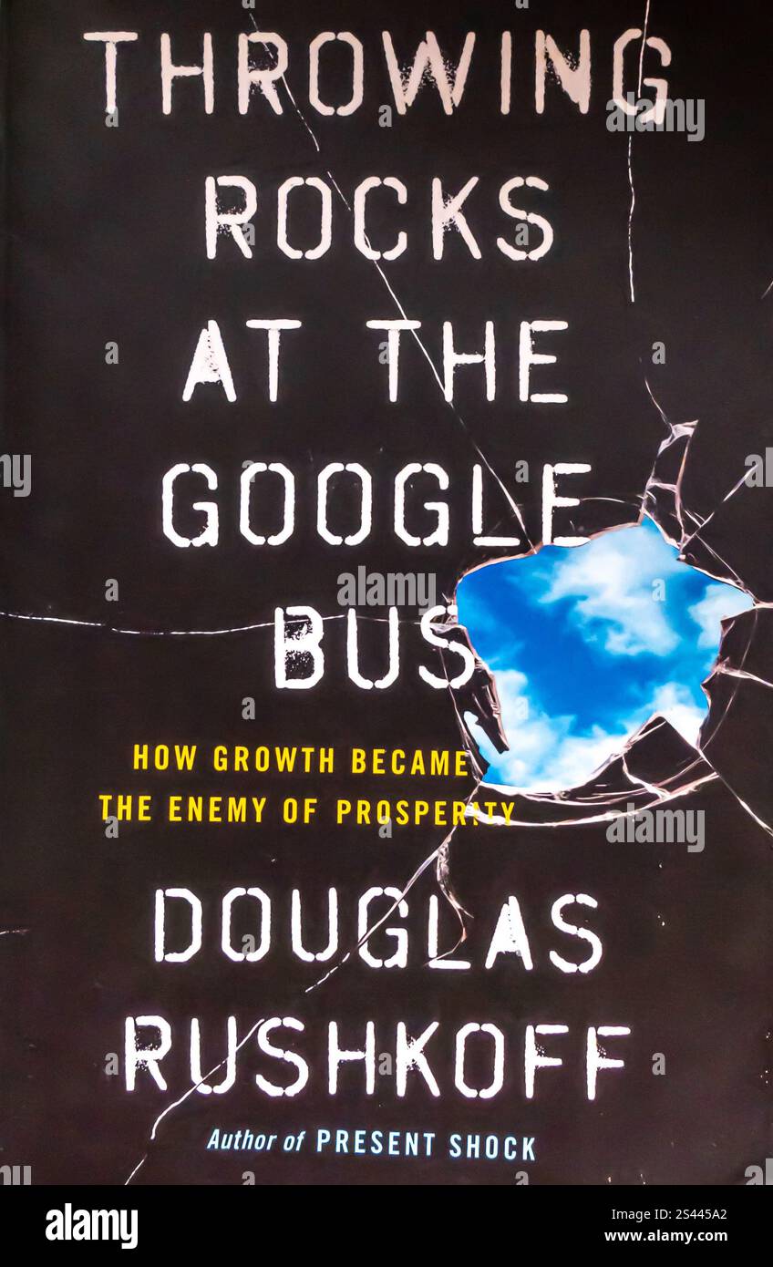 Doug Money Rocks Throwing Rocks at the Google Bus: How Growth Became the Enemy of ...
