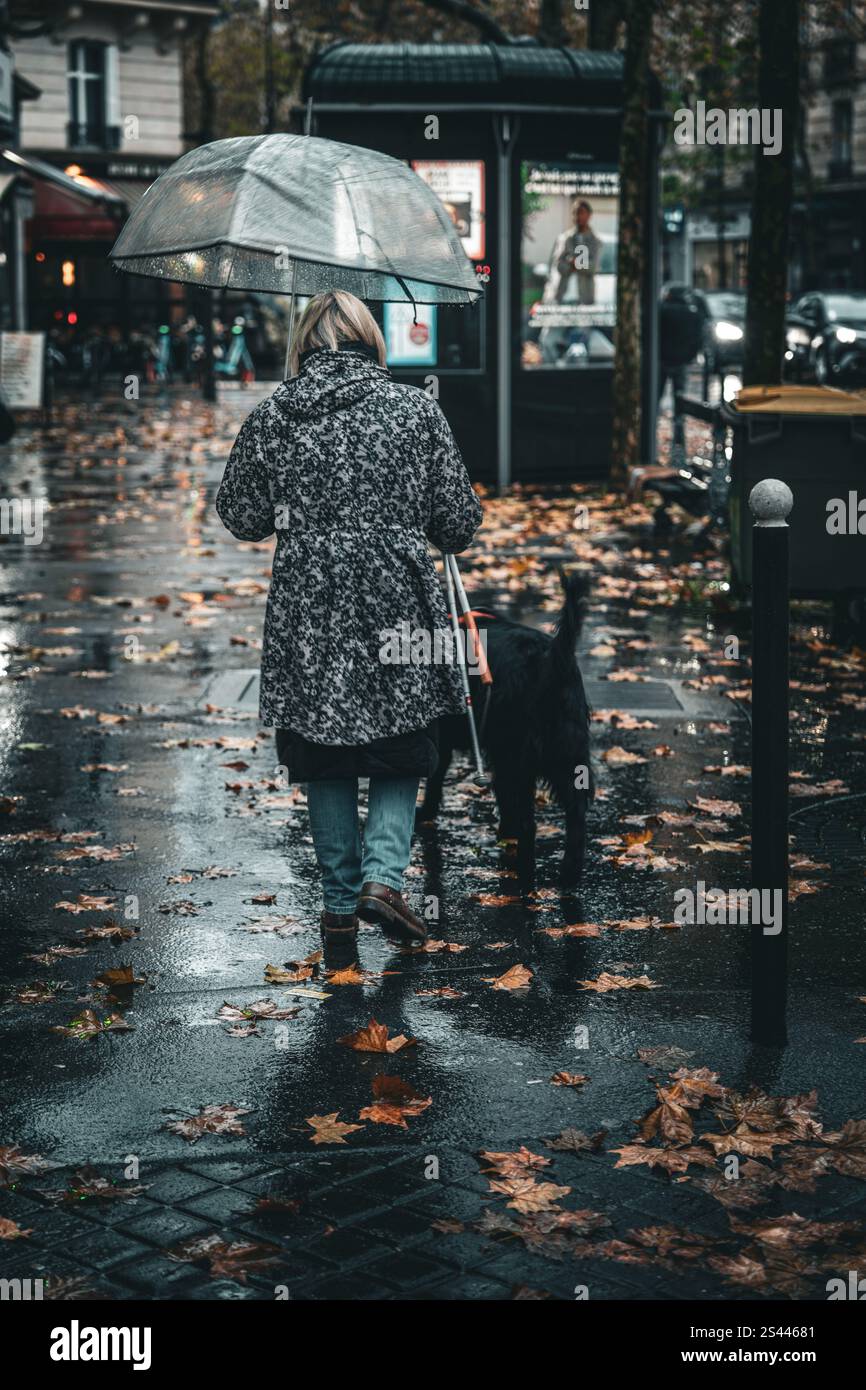 Tokyo Dog Walker: The Unexpected Muse for Functional Fashion