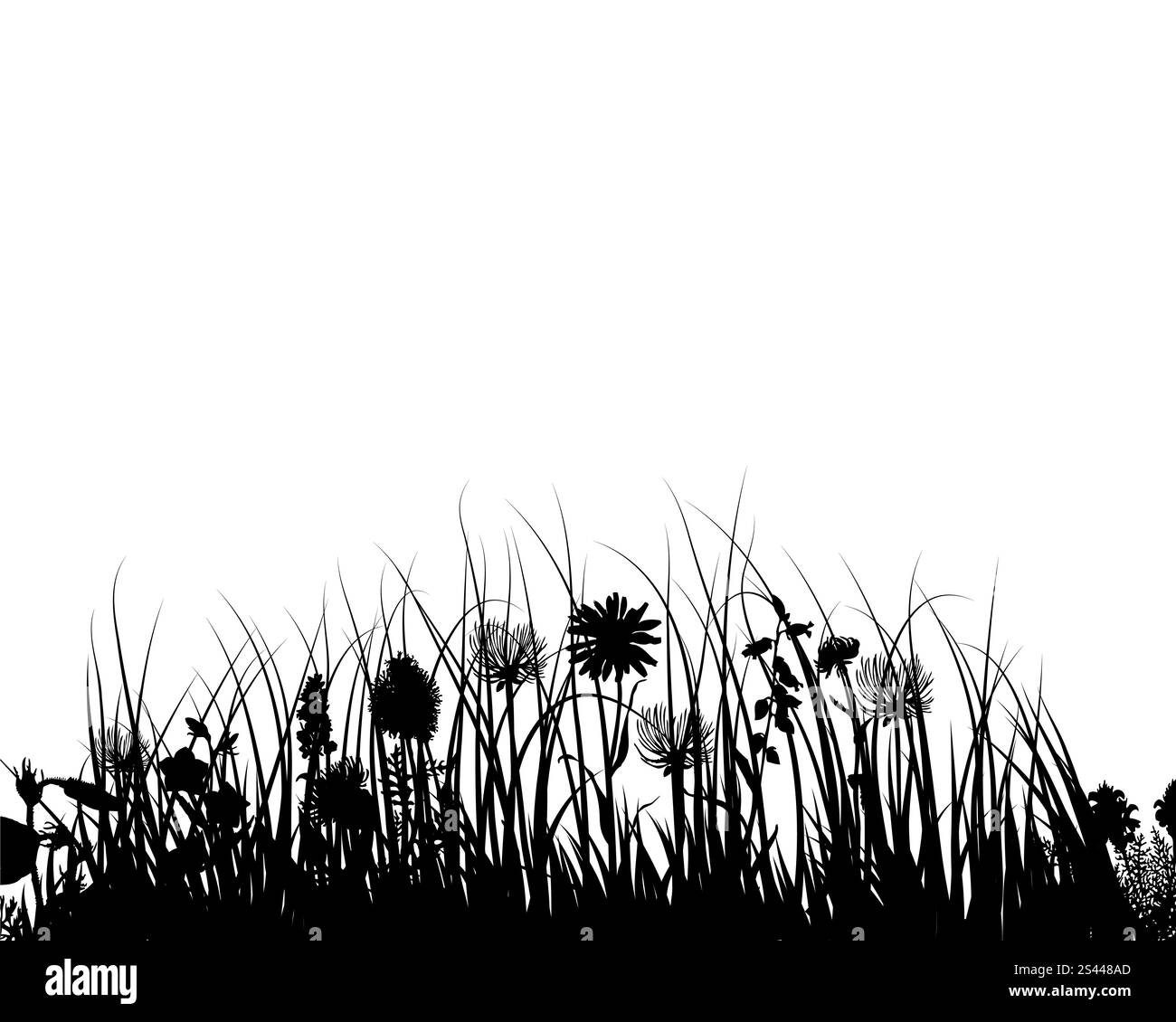Meadow grass flowers on Black and White Stock Photos & Images - Alamy