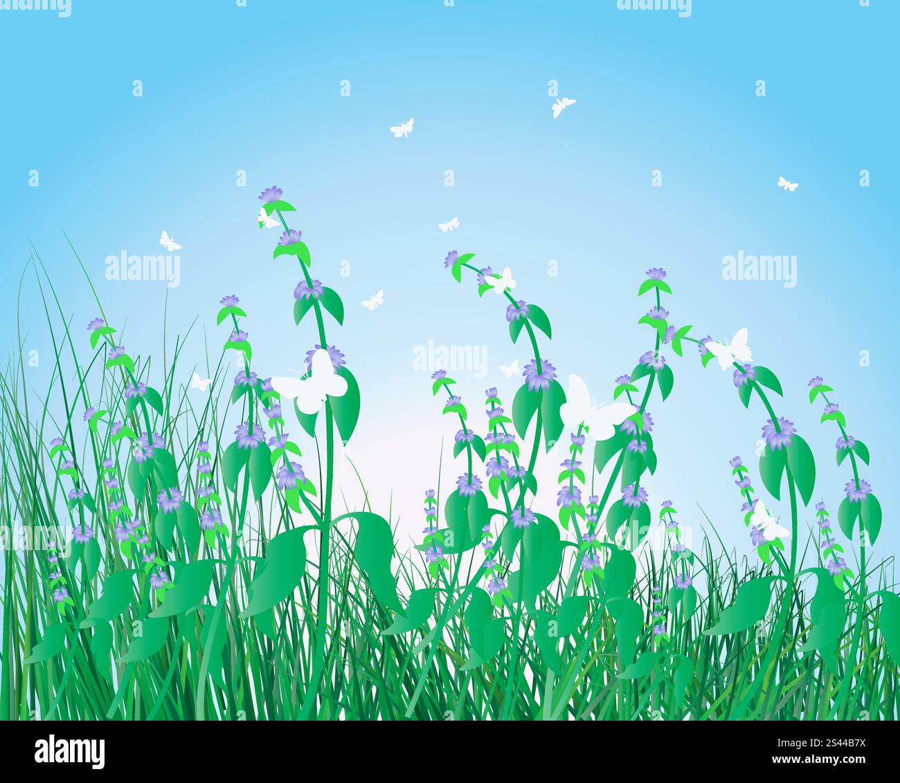 Vector illustration grass background with copy space Stock Vector