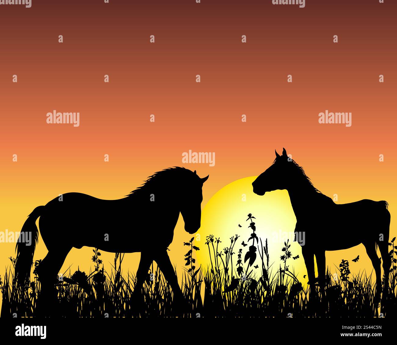 Horse silhouette on sunset background. Vector illustration Stock Vector ...