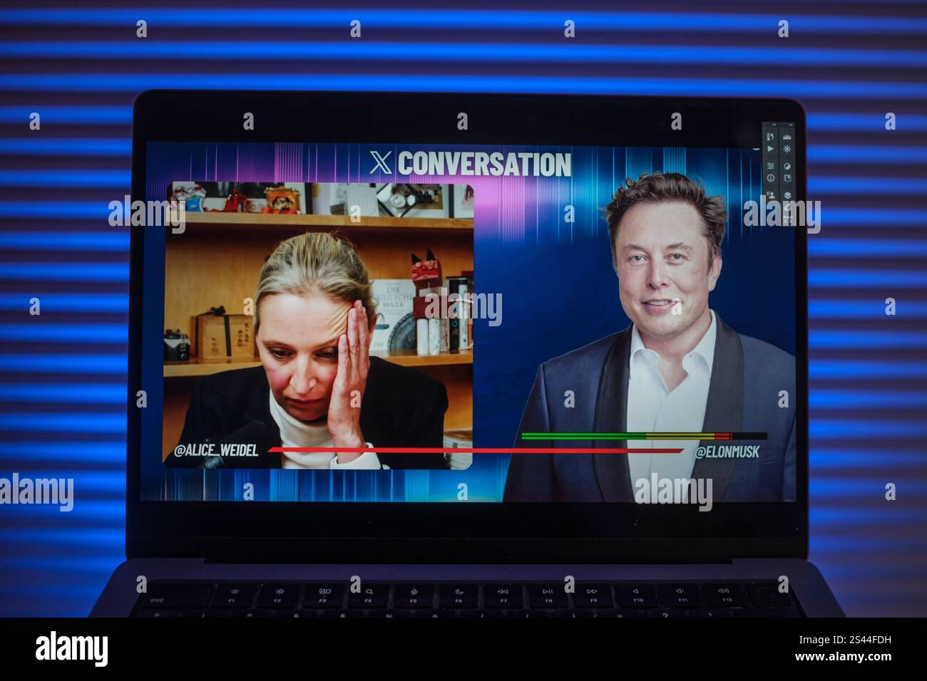 elon musk alice weidel live stream