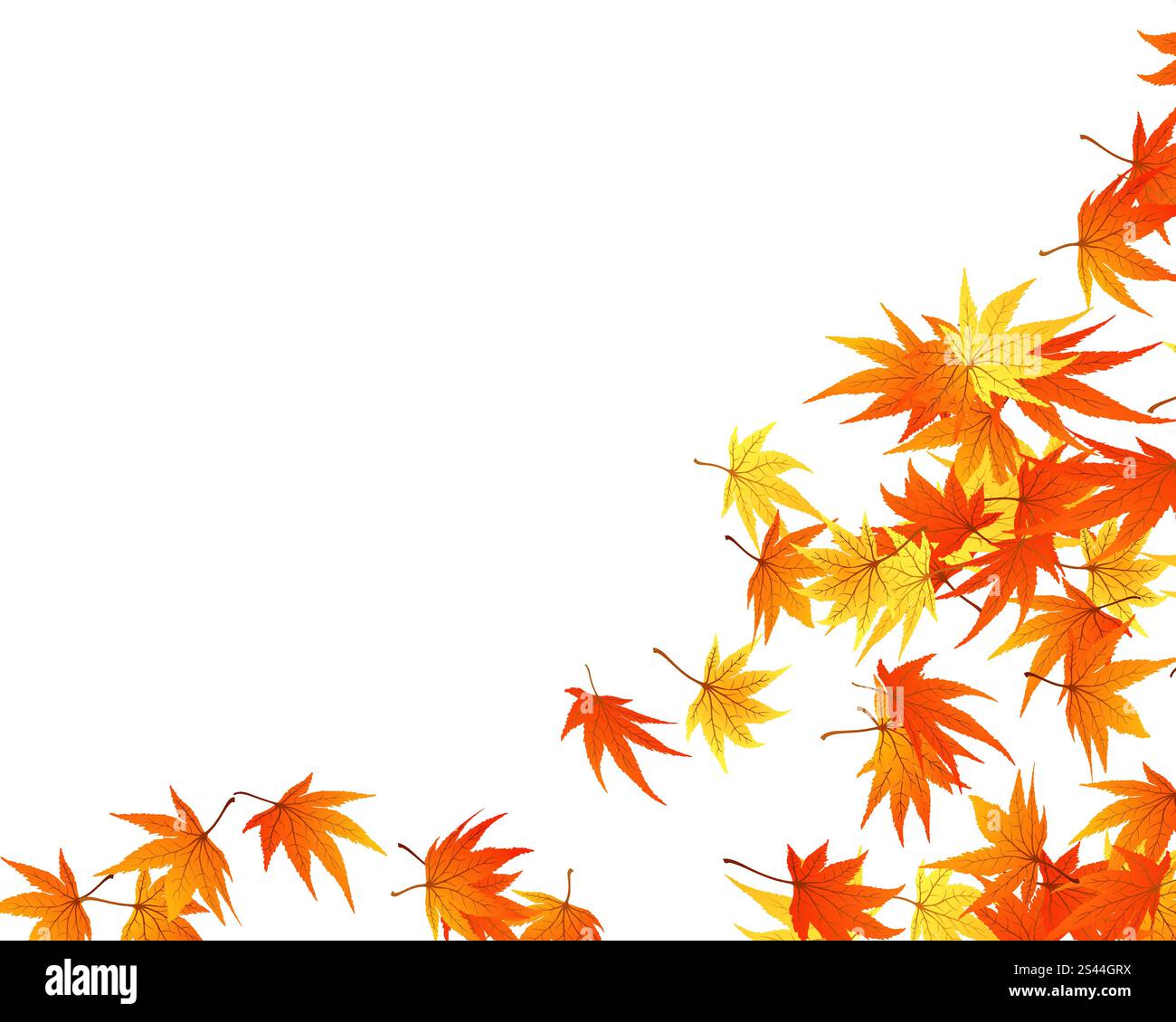 Twisted row of autumn maples leaves. Vector illustration Stock Vector ...