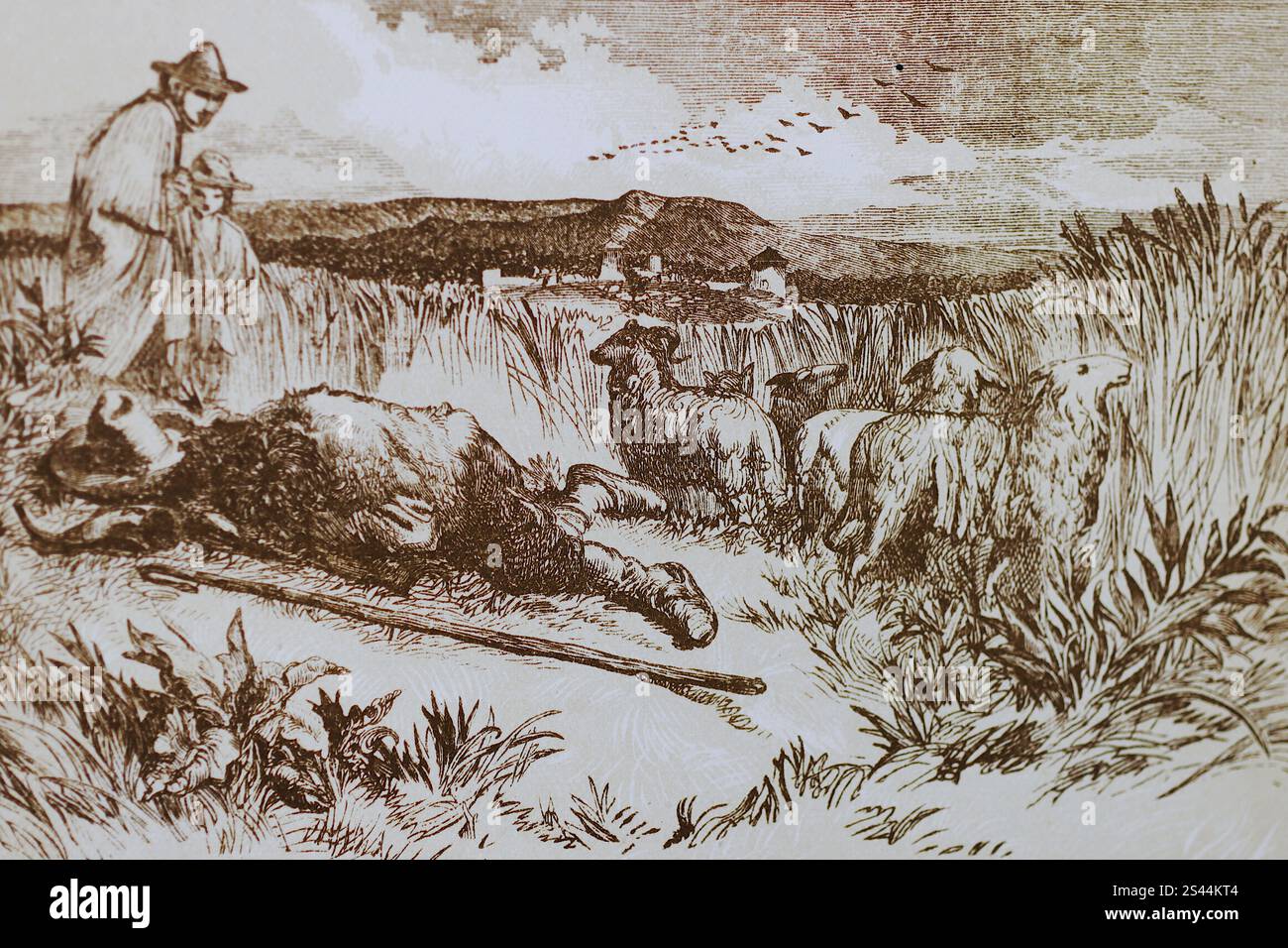 Lear drawing hi-res stock photography and images - Alamy