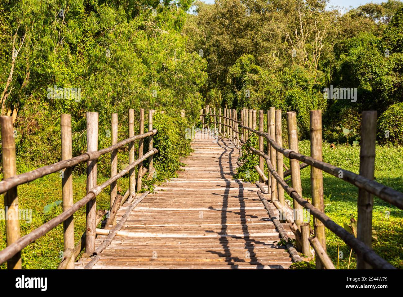Wooden bridge in Vietnam among green plants Stock Photo - Alamy